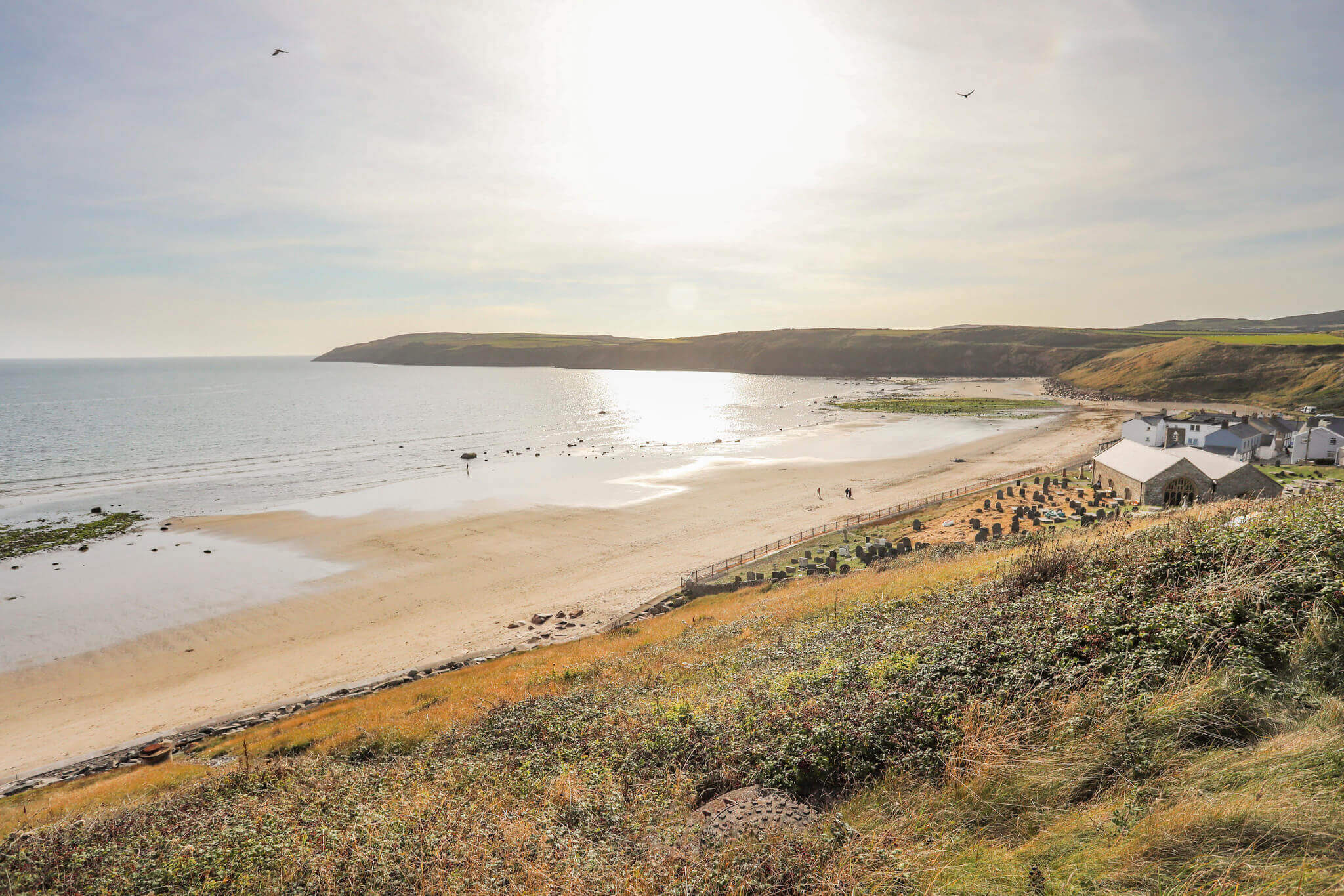 is aberdaron beach dog friendly